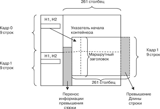 Сеть Ethernet на коаксиальном кабеле (стандарты   10Base5/10Base2)